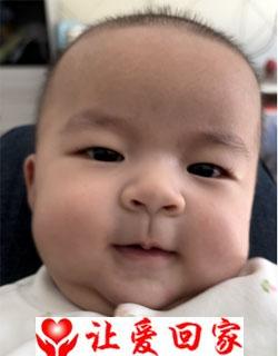 李研菲