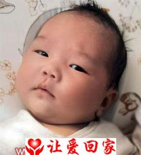 王媛