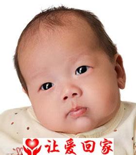 黎秋阳