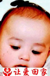 扈乐乐