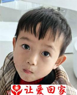 任子誉