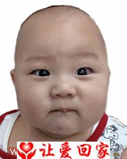 陈子禾
