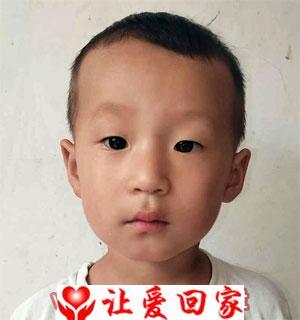 王一贺