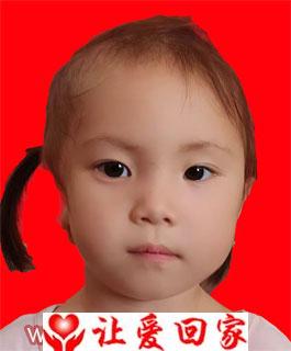 何嘉欣