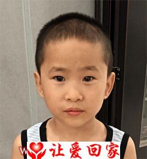 杜怡衡