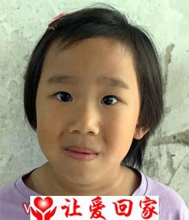 何芯倚