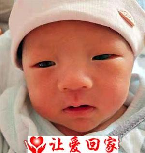 辰辰