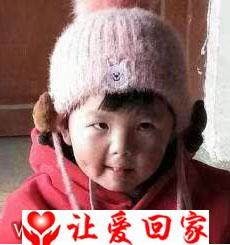 高政