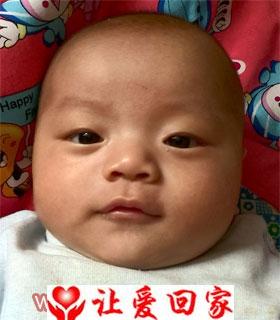 杨鹏达