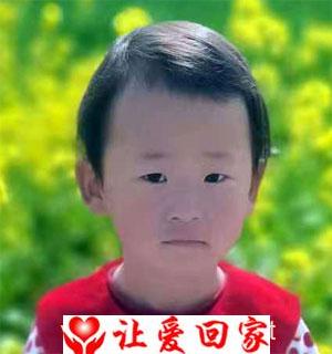 许淑慧