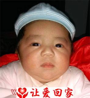 向羽