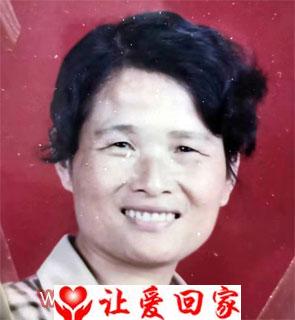 寻找亲生母亲