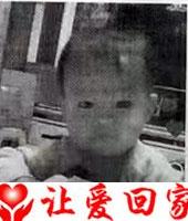 陈鸿申