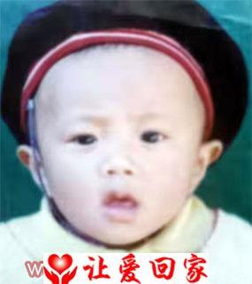 不知道叫什么