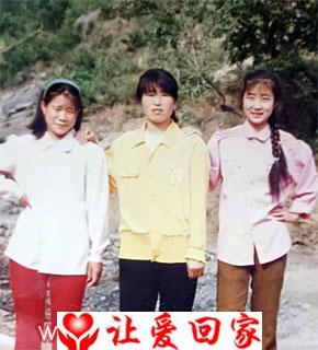 谢松树