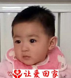 拟取名邓雪琪