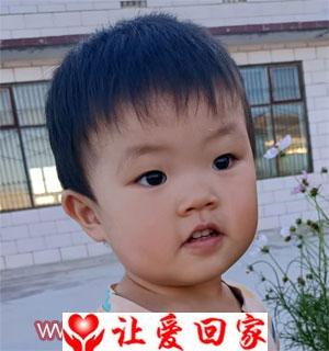 曹越