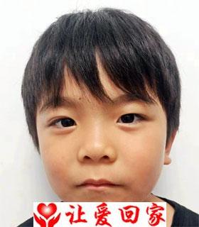王嘉豪
