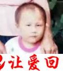 张东平