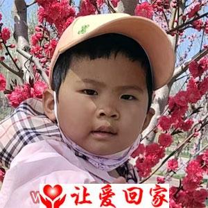 王新月
