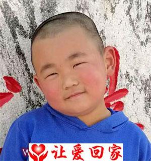 高鹏