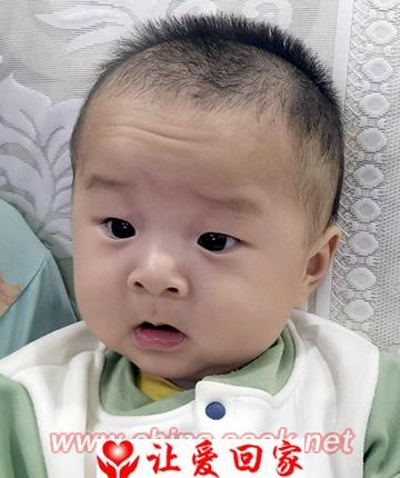 杨权