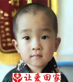 杨致豪