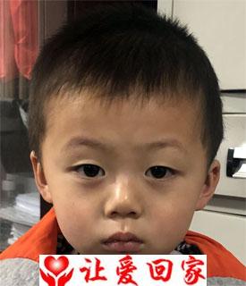 邹家豪