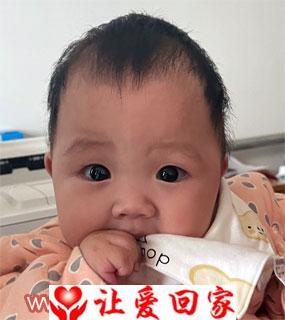 袁梦