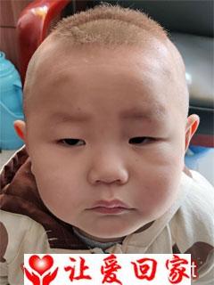 杨嘉慕
