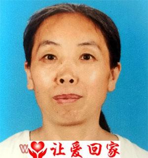 李丽辉