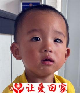 高子昂