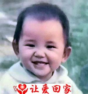 贺飞飞