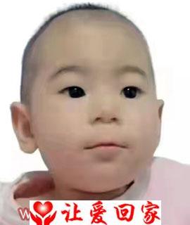 李子迎