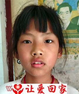 杨高圆