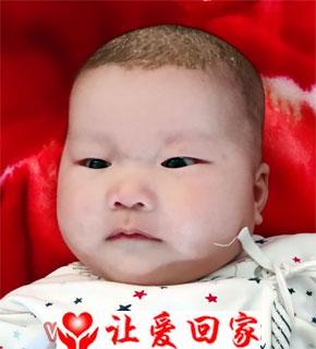 李卓洋