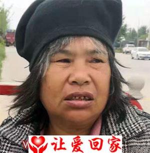 张林林