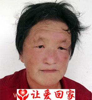 杨宝慧