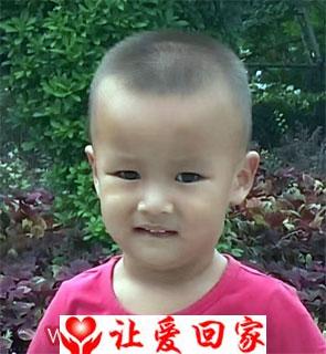 刘晗森
