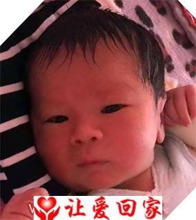 唐一博