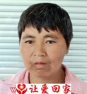 于风叶