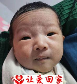 贾珂