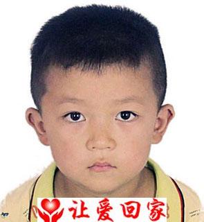 张新梦