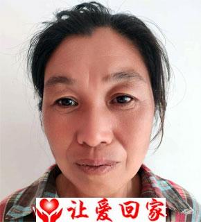 杨琴