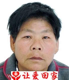 张兰兰