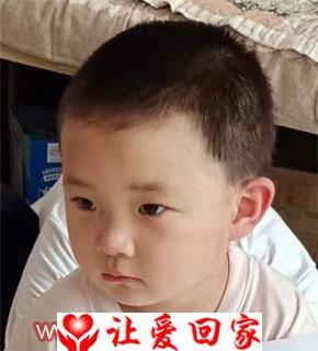 杨晓晨