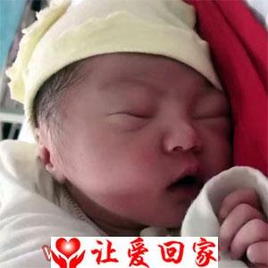 王彦博