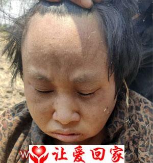 罗杨氏