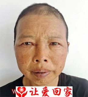 胡平