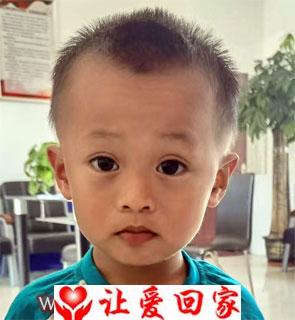 蔡家骏